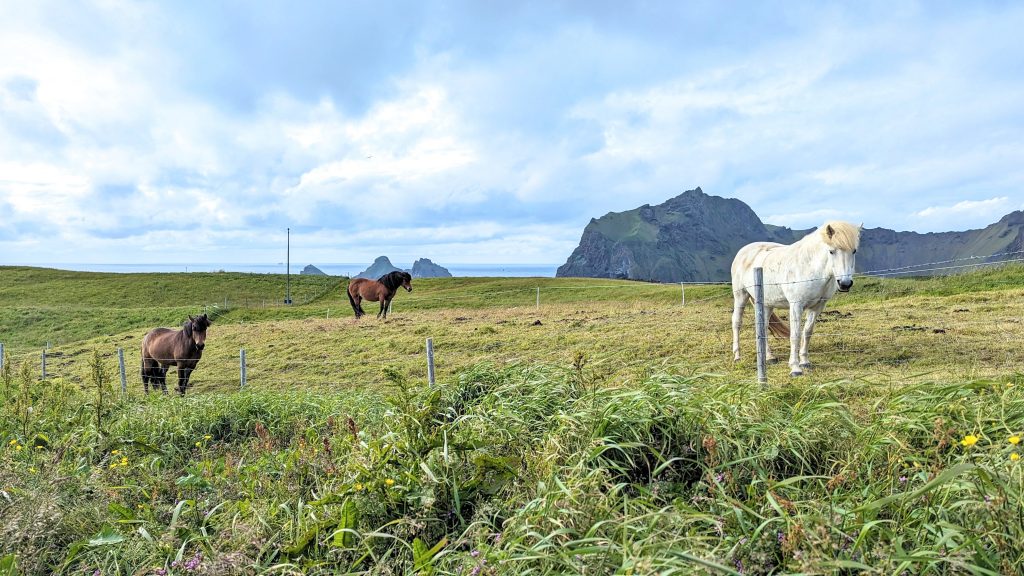 Adventures in Iceland