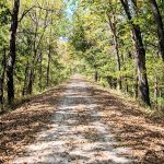 Riding My Brompton on a Section of the Katy Trail